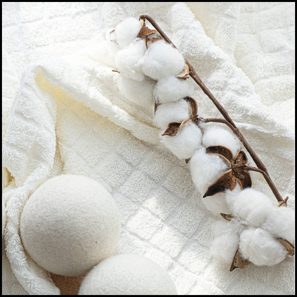 Organic Fabric - Pound Fabrics