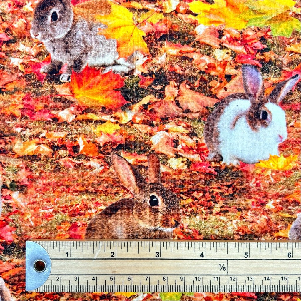 Autumn Rabbits Cotton Jersey Fabric