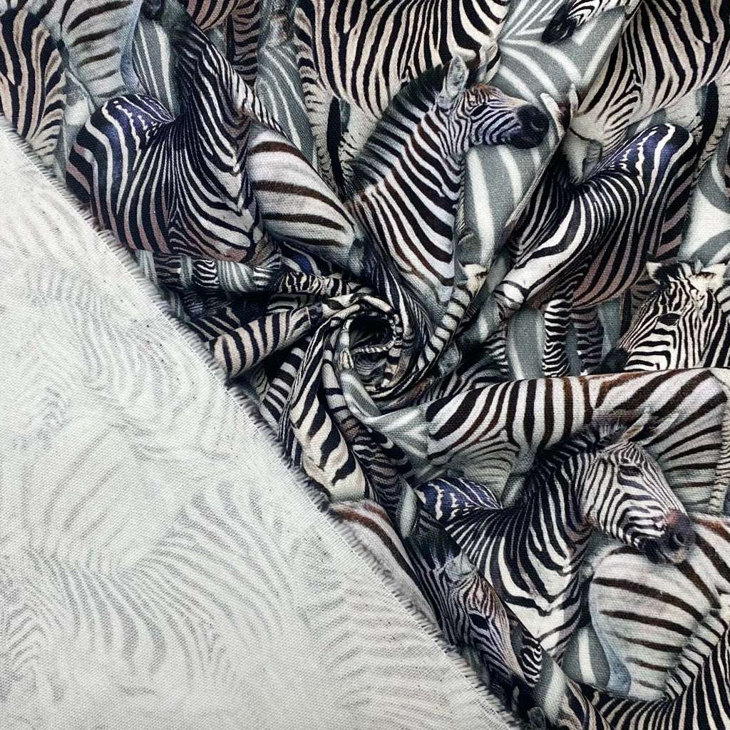 Zebras Digital Print Cotton Canvas Fabric