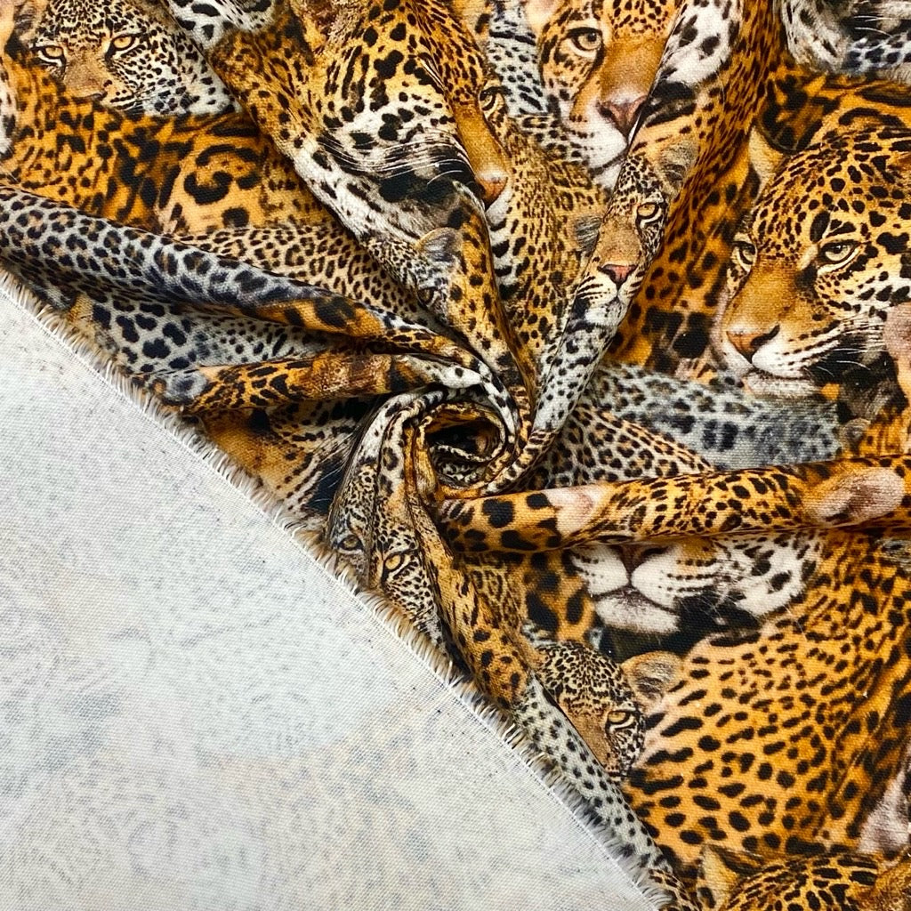 Leopards Digital Print Cotton Canvas Fabric