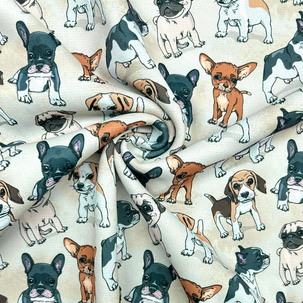 Playful Dogs Sweatshirt Fabric