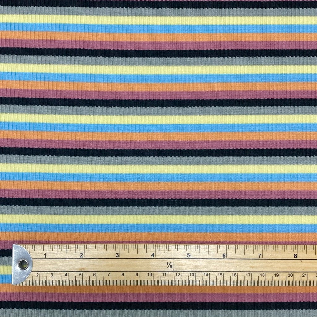 Multi Striped Rib Knit Fabric