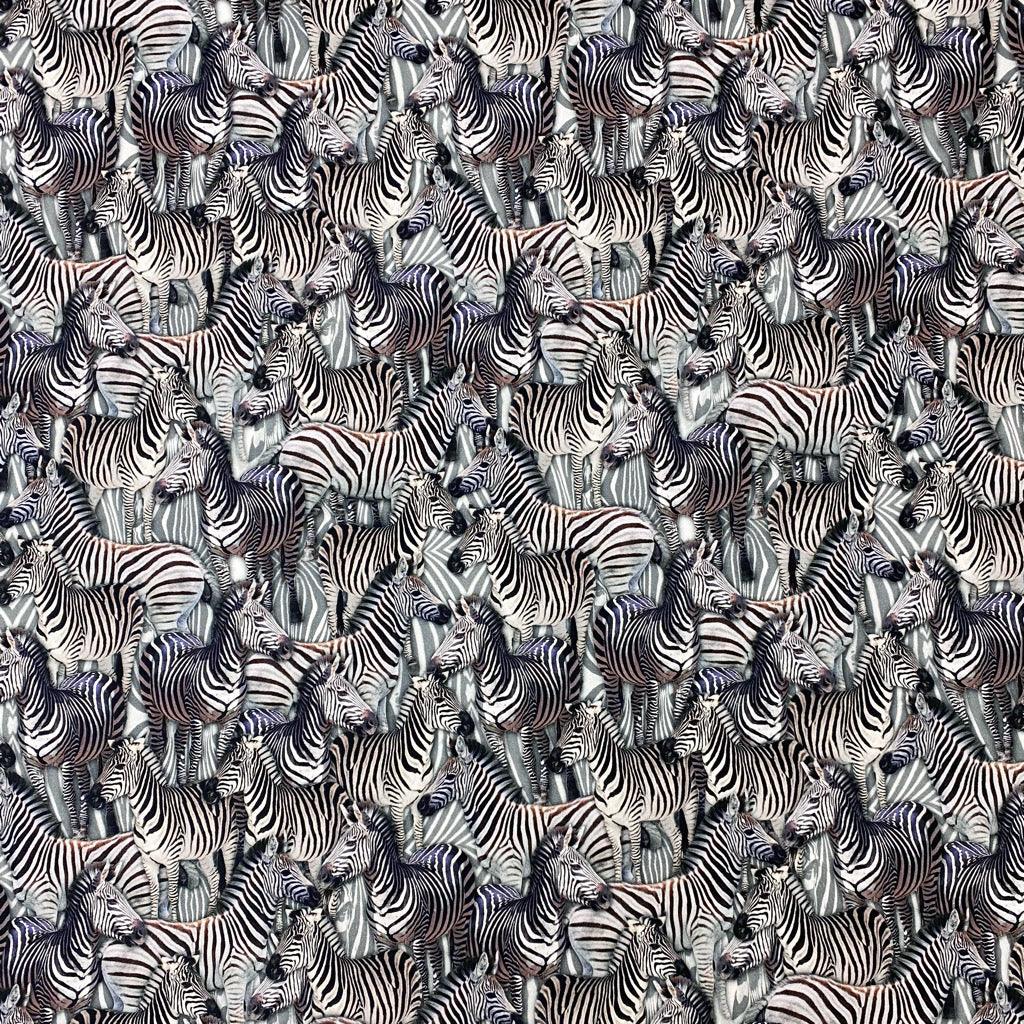 Zebras Digital Print Cotton Canvas Fabric - Pound Fabrics