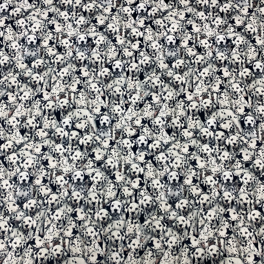 Dalmatians Digital Print Cotton Canvas Fabric