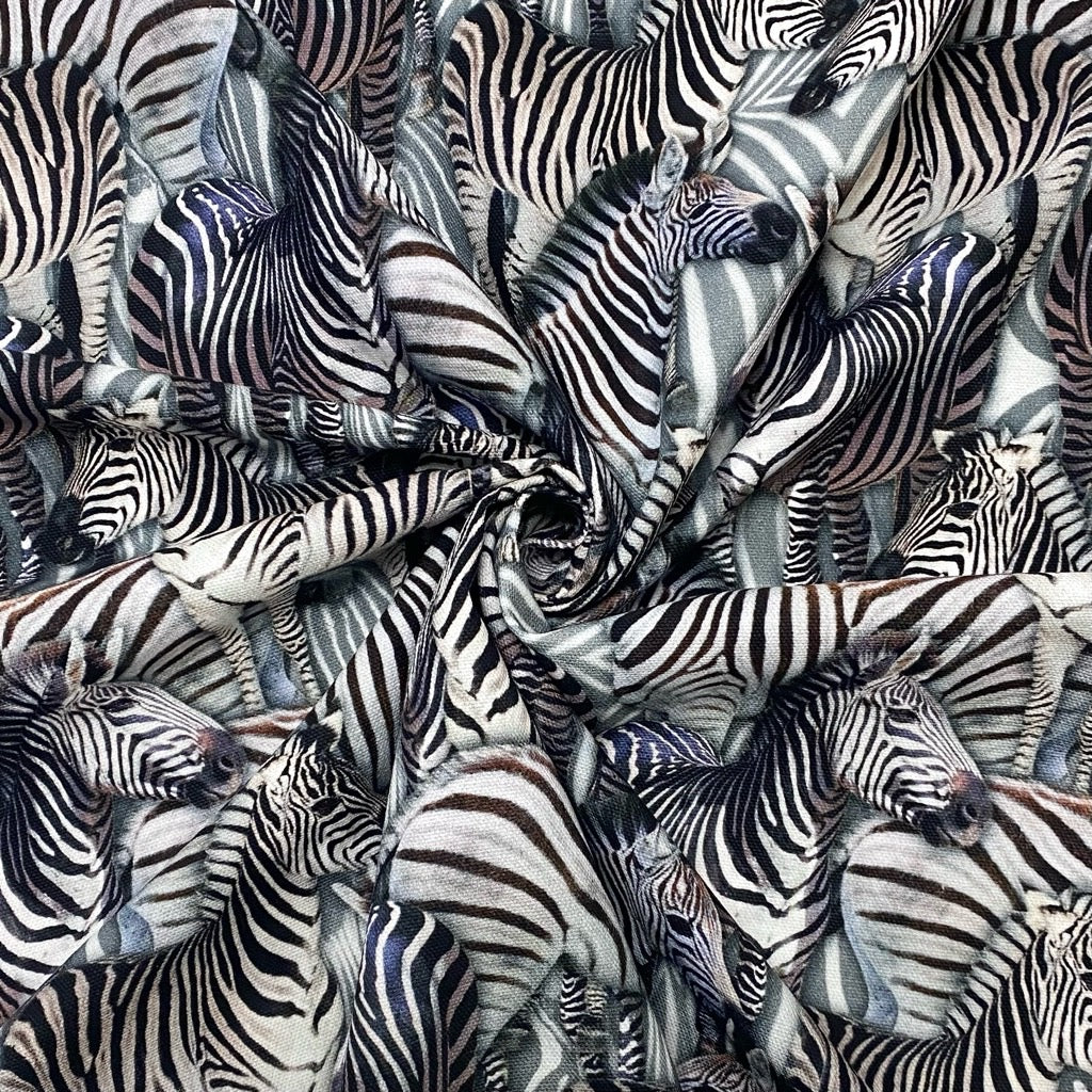 Zebras Digital Print Cotton Canvas Fabric