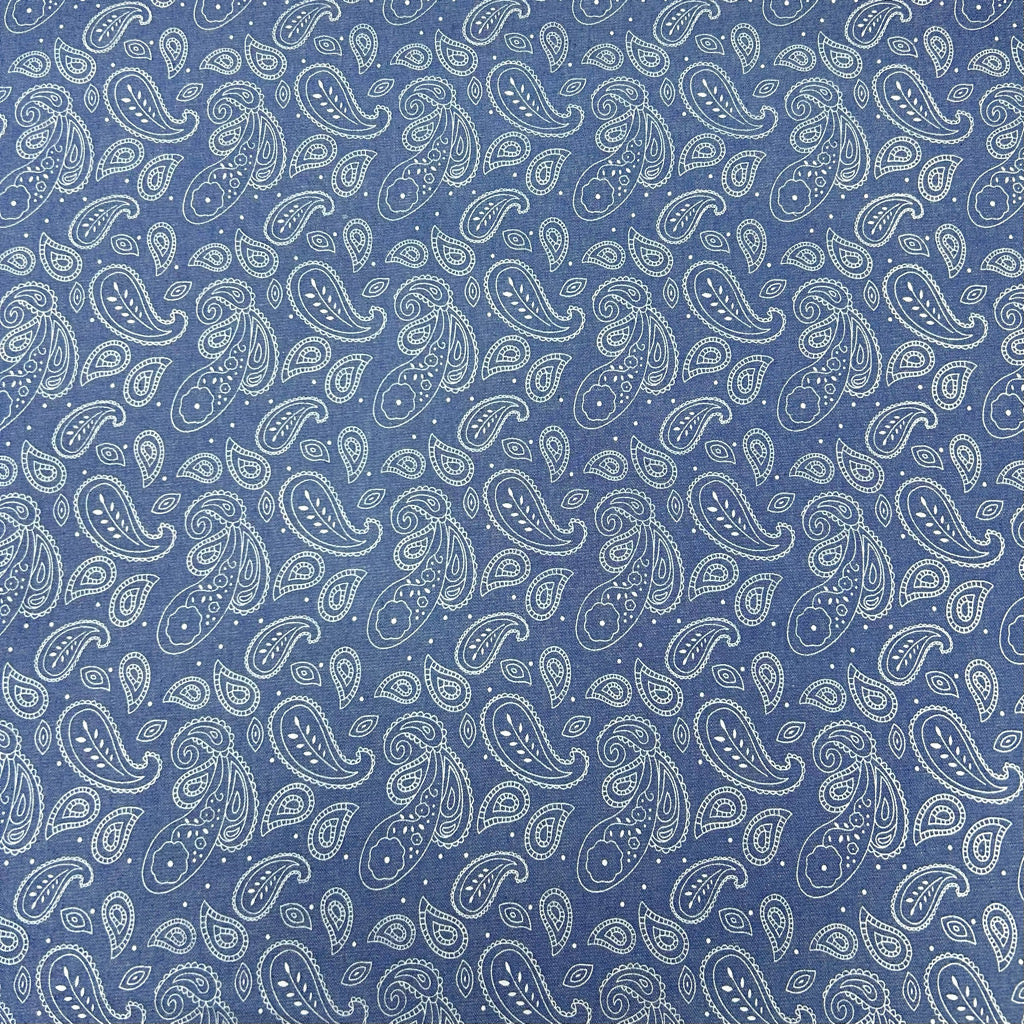 All Over Paisley Chambray Denim Fabric