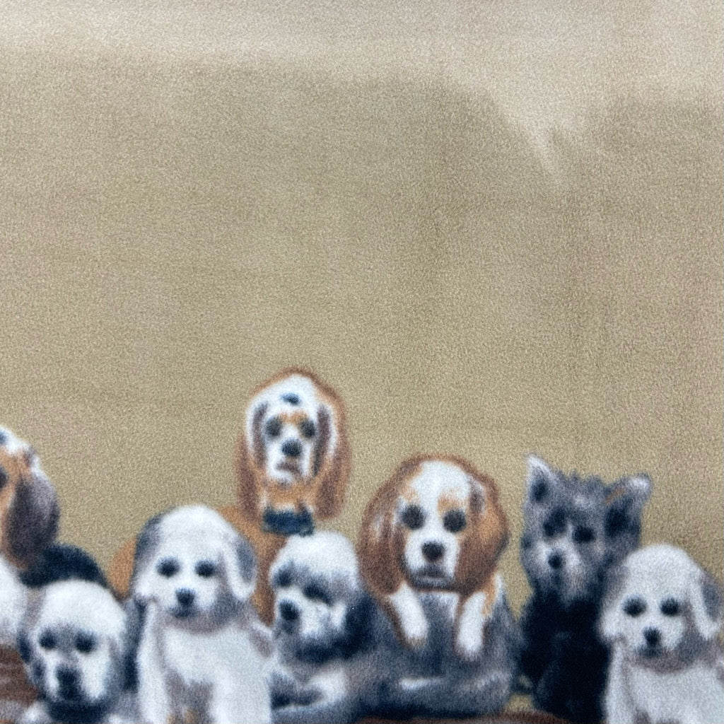 Little Puppies Anti Pill Polar Fleece Fabric
