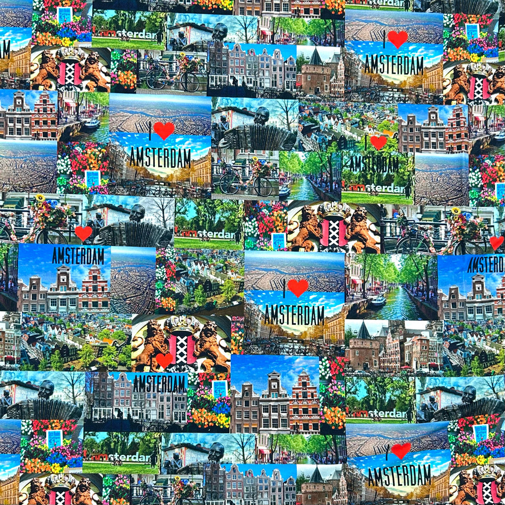 Amsterdam Cityscape Cotton Jersey Fabric