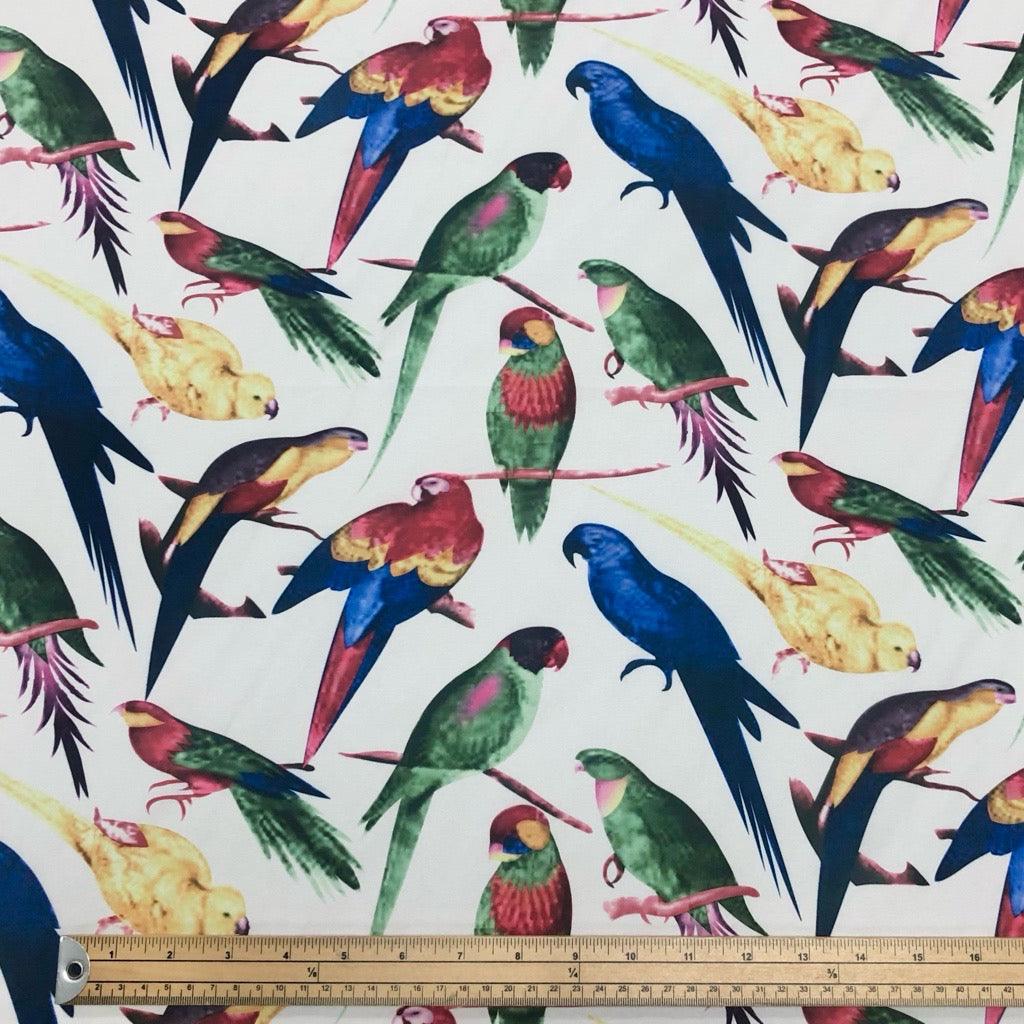Parrots on White Cotton-Touch Polyester Fabric - Pound Fabrics