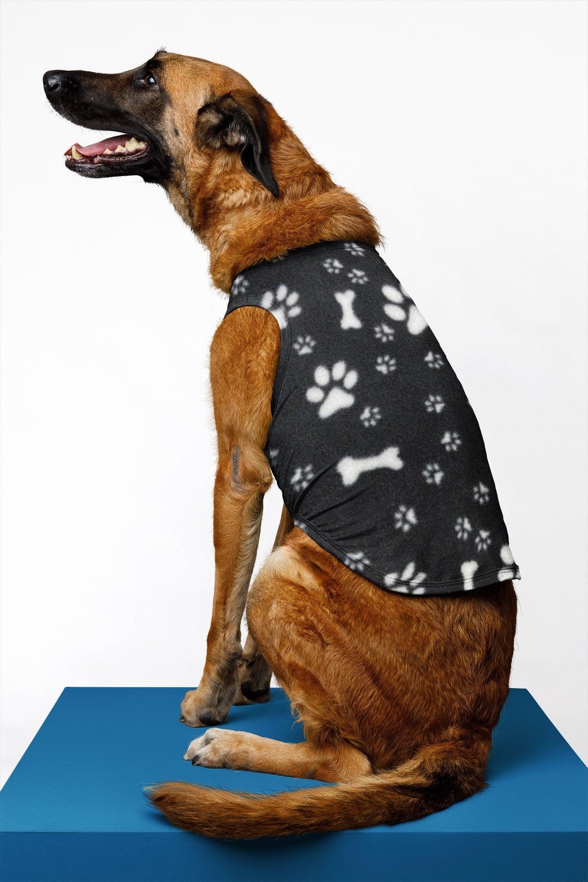 Paws and Bones on Black Anti Pill Polar Fleece Fabric - Pound Fabrics