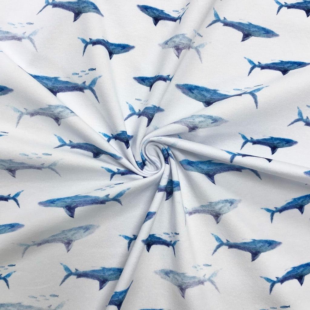 Watercolour Sharks on White Cotton Jersey Fabric - Pound Fabrics