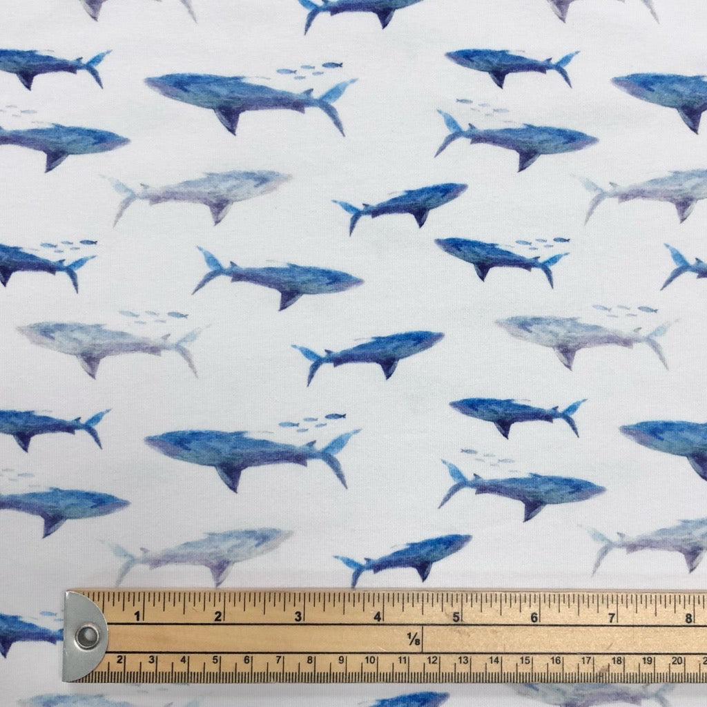 Watercolour Sharks on White Cotton Jersey Fabric